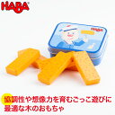 HABA ハバ ミニセット・フィッシュバー HA304269 【あす楽対応】 おもちゃ 知育玩具 木製 誕生日プレゼント 1歳 2歳 3歳 ままごと