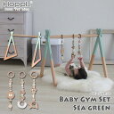 HOPPL ホップル Baby Toy Line ベビージムセット ベビージム 本体(シーグリーン)+ハンギングトイ(3個セット) BTL-BGS-SG 送料無料 ベビー 赤ちゃん 0歳 ベッドメリー 出産祝い おもちゃ 知育玩具 知育 ベビージム 木製 木 新生児 おもちゃ 0カ月 3カ月5カ月 男の子 女の子