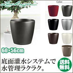 レチューザ プランター LECHUZA クラシコ60 CLASSICO60 LE-1060 送料無料 底面給水...