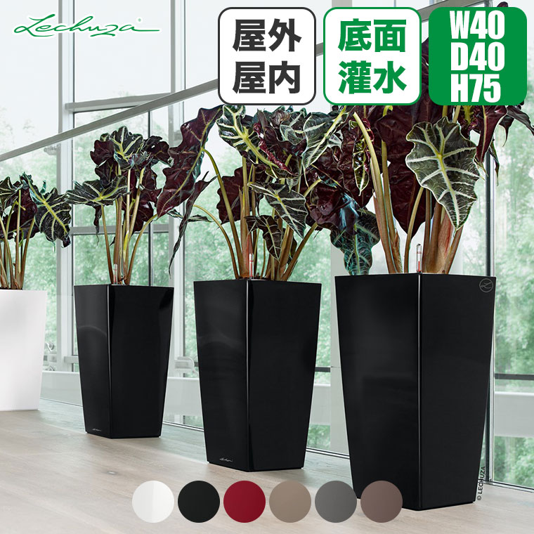 楽天市場】レチューザ キュービコの通販