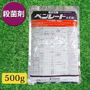 先着最大1000円クーポン) 芝生 殺菌剤 ベンレート水和剤 500g 3086331