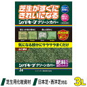 先着最大1000円クーポン) 芝生 肥料 シバキープグリーンカバー 3L 4903471101749 レインボー薬品