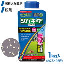 芝生 除草剤 シバキーププラスV 1kg 4903471101879 レインボー薬品 土壌処理型
