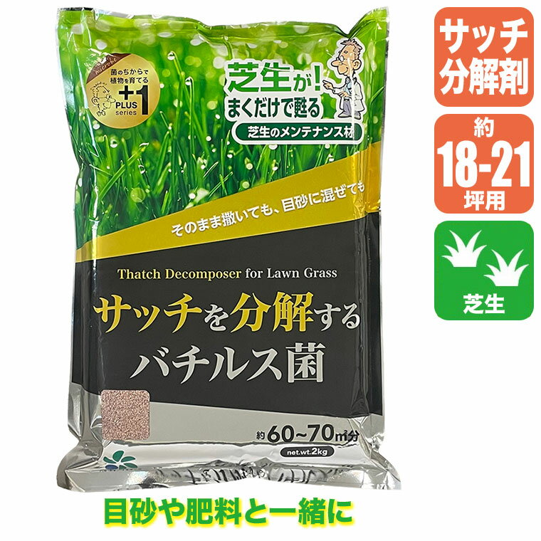 容量 : 2kg（約60-70平米分） 成分 : チッソ2.0％、リンサン2.0％ ※この商品は海外発送できません。 自然応用科学 プラス1 サッチを分解するバチルス菌 2kg 4907579771316 休眠したバチルス菌と働かせる程度の養分を配合。 水を与えると本品の養分をエサにサッチを分解します。 芝張時やメンテナンス時の目砂や肥料と一緒に散布。 バチルス菌がサッチを分解して大切な芝生を守ります。 【春のポイント】 芝生の根が動き始めるのは5月末頃。 3月頃から本品を与えて土壌に定着させて生育を促します。 【夏のポイント】 刈り込みを月2回程度行います。 秋に向けてサッチを分解し、芝の根圏域の土壌環境を改善させます。 ■容量：2kg（約60-70平米分） ■成分：チッソ2.0％、リンサン2.0％ ※この商品は海外発送できません。 関連ワード：自然応用科学/サッチを分解するバチルス菌 2kg/4907579771316/芝生/芝/サッチ分解剤/バチルス菌/土壌改善/土壌改良/目土/目砂 【芝生の肥料一覧】