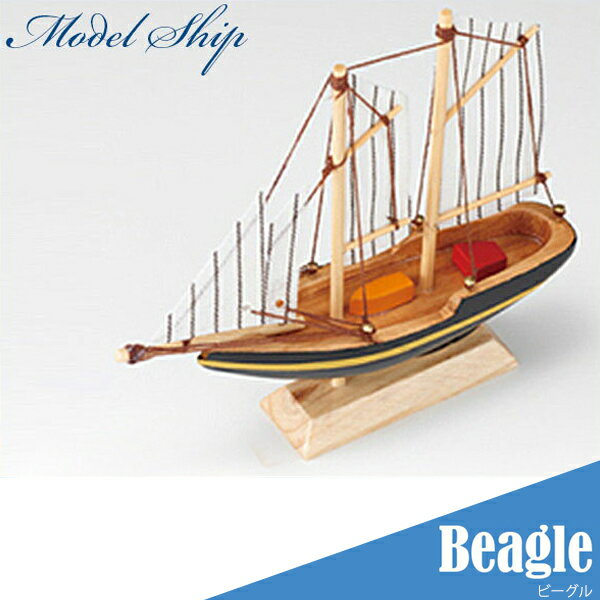 (AOZORA) MODEL SHIP 12 ӡ(Beagle)  Ϸ  Beagle