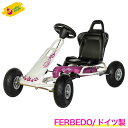 先着最大1000円クーポン) ロリートイズ rolly toys ゴーカート Runner RT105014 乗用おもちゃ 乗用玩具 車 のりもの 3歳 誕生日プレゼント 送料無料