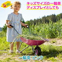 rolly toys ロリートイズ rolly Classic Summer 一輪車 ピンク RT274802 知育玩具 送料無料 子供 おもちゃ 子供用 園芸 手押し車 手押しカート