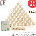 積み木 学習トイ ブロック セレクタ X(エックス)-BLOCKS 50 SE0006(積木) 知育玩具 SELECTA 赤ちゃん ベビー 出産祝い おもちゃ 1歳 2歳 3歳 4歳 女の子 男の子