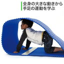 ソフトキャタピラー・青 HM38B 知育玩具 知育 おもちゃ モンテッソーリ セラピー教具 0歳 一歳 1歳 2歳 3歳 4歳 5歳 男の子 女の子