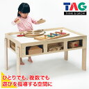 TAG 特別支援プレイスペース TGF303 知育玩具 知育 おもちゃ モンテッソーリ 保育 保育園 幼稚園 木製 木のおもちゃ 1歳 2歳 3歳 4歳 5歳 6歳 男の子 女の子 誕生日 プレゼント クリスマスプレゼント