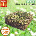 芝生　天然芝 花マット リピア ヒメイワダレソウ ピース 1ケース50個入 送料無料 （芝生 通販）