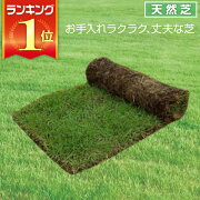 楽天市場 予約注文 5月13日発送予定 芝生 天然芝 野芝 ノシバ ロール巻 送料無料 芝生 通販 サンワショッピング 未購入を含む みんなのレビュー 口コミ 楽天市場 予約注文 5月13日発送予定 芝生 天然芝 野芝 ノシバ ロール巻 送料無料 芝生 通販 サンワショッピング 未購入を含む みんなのレビュー 口コミ