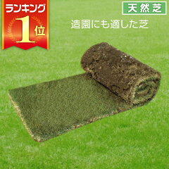 https://thumbnail.image.rakuten.co.jp/@0_mall/sun-wa/cabinet/lawn/1/101100-f.jpg