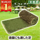 芝生 天然芝 姫高麗芝(ヒメコウライ芝) ロール巻芝 送料無料 (芝生 通販) 芝生 天然芝 姫高麗芝(ヒメコウライ芝) ロール巻芝 送料無料 (芝生 通販)