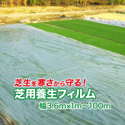 芝生用 養生用フィルム 寒冷紗