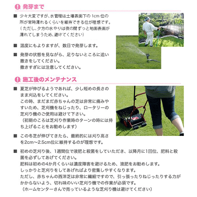 楽天市場 ウィンターオーバーシード用 種 サンワショッピング 楽天市場 ウィンターオーバーシード用 種 サンワショッピング