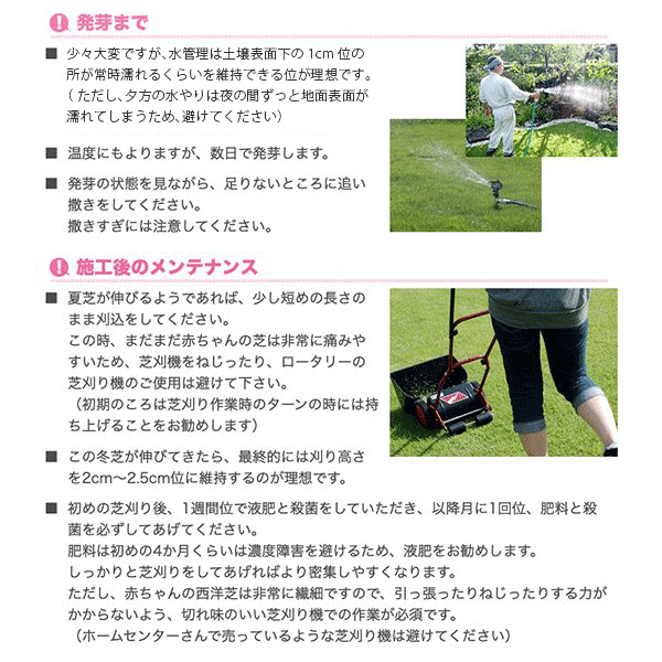 楽天市場 ウィンターオーバーシード用 種 サンワショッピング