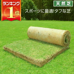 https://thumbnail.image.rakuten.co.jp/@0_mall/sun-wa/cabinet/lawn/2/100200.jpg