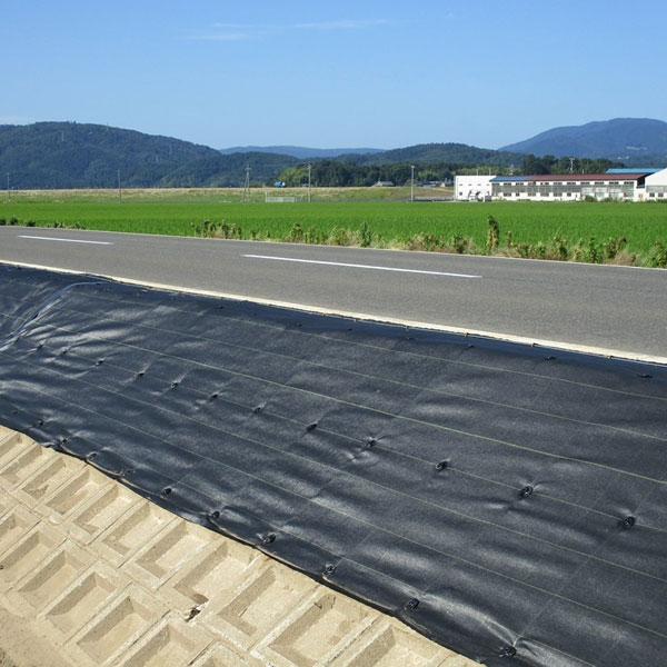 ���𥷡��� �ԥ� ���ѥ����ץ鹺 250mm 200������ HSP250E ����̵��