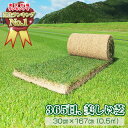 芝生 天然芝 三種混合ロール巻芝 送料無料 芝生 通販 
