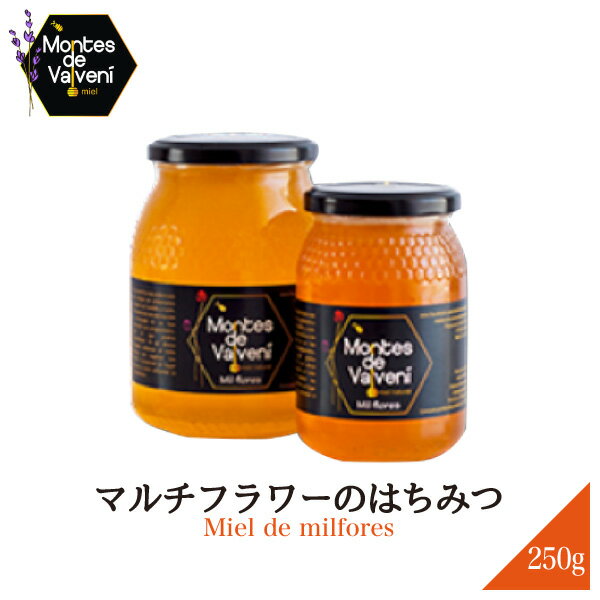 旧商品 スペイン産 モンテス デ バルベニー はちみつ マルチフラワー 250g