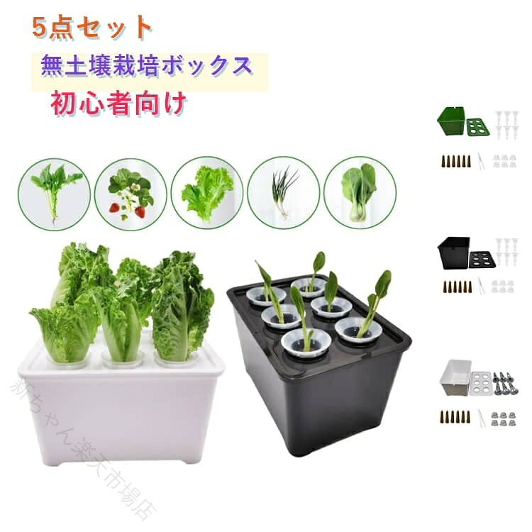 【5点セット】【高品質素材】PP素材は優れた耐食性と耐水性を備えており、長期間使用しても変形や黄ばみが起こりにくいです。本体は軽量で頑丈なため移動が楽で、表面は滑らかで汚れが付きにくく、軽く拭くだけで水垢や藻の発生を防げ、お手入れが簡単です。【水耕栽培】土壌、農薬、殺虫剤を一切必要とせず、清潔な水耕栽培を実現します。室内でレタス、ハーブ、イチゴなど様々な野菜や花を手軽に育てられます。【フルセット構成】水耕栽培コンテナ、トップカバー、ピンセット、育苗用カバー×6、育苗カップ×6、育苗スポンジ×6など、フルセットのパーツが含まれており、開封後すぐにご使用いただけて時間と手間を省けます。【一年中楽しめる栽培】一年中いつでも新鮮な野菜、ハーブ、果物を育てる楽しみを味わえ、ご自宅で採れたての美味しさを楽しめます。葉物野菜からつる性植物、小型果樹まで、様々な植物の水耕栽培を手軽に実現します。【多様なシーンに適応】ホワイトの水耕栽培キットは、リビングの窓辺のアクセント、キッチンハーブガーデン、オフィスデスクの装飾、カフェのディスプレイとして、多様なシーンのニーズを満たします。セット内容:水耕栽培ボックス×1 上蓋×1 育苗カップ×6 育苗スポンジ×6 ピンセット×1 育苗カバー×6サイズ5点セットサイズについての説明サイズ:18×12×10.5cm※画像の商品は光の照射や角度により、実物と色味が異なる場合がございます。また表示のサイズ感と実物は若干異なる場合もございますので、予めご了承ください。※サイズ感につきましては体型により異なりますので、予めご了承ください。※サイズ詳細等の測り方はスタッフ間で統一、徹底はしておりますが、実寸は商品によって若干の誤差がある場合がございますので、予めご了承ください。※通常のサイズ基準ではなく、身長と体重を参考にお選びください。素材PP色ホワイト ブラック グリーン備考サイズ詳細等の測り方はスタッフ間で統一、徹底はしておりますが、実寸は商品によって若干の誤差(1cm〜3cm )がある場合がございますので、予めご了承ください。製造ロットにより、細部形状の違いや、同色でも色味に多少の誤差が生じます。パッケージは改良のため予告なく仕様を変更する場合があります。▼商品の色は、撮影時の光や、お客様のモニターの色具合などにより、実際の商品と異なる場合がございます。あらかじめ、ご了承ください。▼生地の特性上、やや匂いが強く感じられるものもございます。数日のご使用や陰干しなどで気になる匂いはほとんど感じられなくなります。▼同じ商品でも生産時期により形やサイズ、カラーに多少の誤差が生じる場合もございます。▼他店舗でも在庫を共有して販売をしている為、受注後欠品となる場合もございます。予め、ご了承お願い申し上げます。▼【原産国/製造国: 中国】.栽培セット、家庭菜園、果物、室内園芸を楽しめる5点セットです。種子栽培セット、6穴、無土壌栽培ボックス、栽培セット、水耕栽培キットとして使えます。野菜、ハーブ、植物、ガーデニング、ベランダ菜園、室内栽培、家庭用、観察、自由研究、食育、初心者、子供、親子、インテリア、園芸用品、発芽、育苗、植物育成におすすめ。人気、ランキング、初心者向け、室内菜園、水耕栽培用品を探す方に便利です。。栽培セット 家庭菜園 果物 室内 5点 ホワイト ブラック グリーン