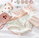 ファッション スタンダード ショーツのみ 女性下着 美尻 ショーツ 睡眠 ショーツ セット 通気 パンツ 三角 5枚セット パンティ 超可愛い おしゃれ 大人 防臭 すっぽり 女子 ゆったり 高校生 インナー 女性用 5タイプ 抗菌 快適 肌着 大きいサイズ レディース 中学生 M L XL(4)