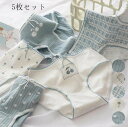 パンツ 三角 5枚セット おしゃれ 大人 パンティ 超可愛い ショーツ セット 通気 すっぽり 女子 ファッション スタンダード ショーツのみ 女性下着 美尻 ショーツ 睡眠 防臭 ゆったり 高校生 インナー 女性用 5タイプ 抗菌 快適 肌着 大きいサイズ レディース 中学生 M L XL(4)