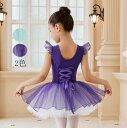 ダンス衣装 女の子 オールインワン キッズダンス 衣装 バレエレオタード バレエダンス 子供 ワンピース ノースリーブ チュチュ ジュニア 練習着 スナップボタ...