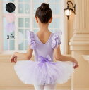 ステージ衣装 バレエダンス ダンス衣装 女の子 オールインワン キッズダンス 衣装 バレエレオタード 子供 ワンピース 半袖 チュチュ ジュニア 練習着 スナッ...