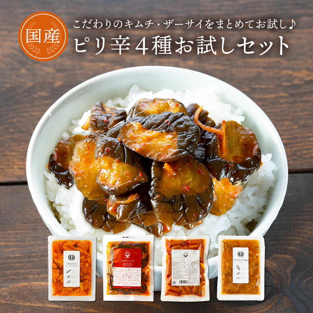 九州 ピリ辛 ご飯のお供 4種 セット