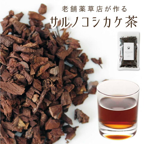 宮崎県産 サルノコシカケ茶 50g×1袋【ゆうパケット・代引き不可】＜お届け目安：1〜2週間程度＞