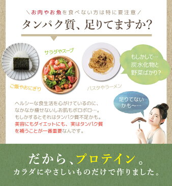 やさしいプロテイン 計量スプーン付き 九州アミノシェイク 300g×3袋 美容や置き換えダイエットにも モリンガパウダー配合 女性 男性 (※代引きはゆうパケット対象外) 【出荷目安:1〜2週間程度】