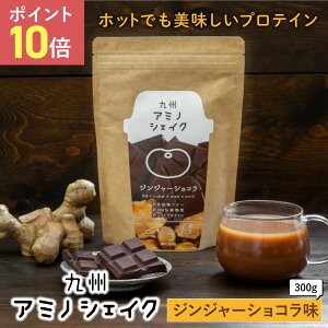 九州アミノシェイク ジンジャーショコラ味 300g×1袋 おいしいプロテイン 生姜 ホットプロテイン 計量スプーン付き 美容や置き換えダイエットにも モリンガ配合 女性 男性【出荷目安:ご注文後1〜2週間】