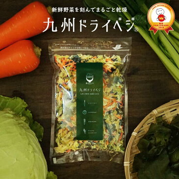 国産 乾燥野菜ミックス 九州ドライベジ100g×1袋 (戻して約500g) 九州産 ゆうパケット(ポスト投函)・代引不可 【出荷目安：4月末〜5月上旬△▼】