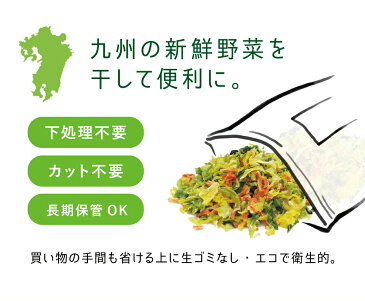 『九州ドライベジ』100g×1袋（お湯で戻して約500g）味噌玉（みそ玉）にも！九州産乾燥野菜ミックスゆうパケット・代引不可（※代引きはゆうパケット対象外）