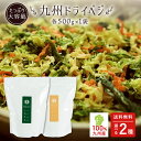 国産 乾燥野菜 ミックス 九州ドライベジ 500g（お湯で戻
