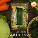 [1,000円ポッキリ]国産 乾燥野菜ミックス 九州ドライベジ100g×1袋 (戻して約500g) 九州産 ゆうパケット(ポスト投函)・代引不可 【出荷目安：ご注文後1〜2週間】《セール中は送料無料》