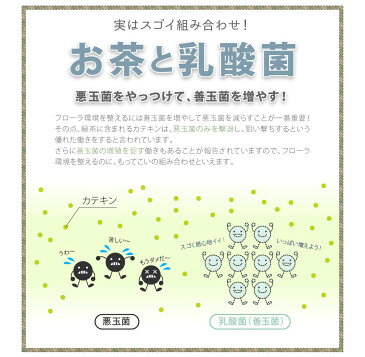 『まるごと食べ茶と乳酸菌の粉末茶』45g×3袋セット農薬不使用・有機栽培の粉末茶にナノ型乳酸菌をプラス（※代引きはゆうパケット対象外）【出荷目安：ご注文後1〜2週間】