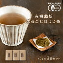 有機JAS認定 まるごとほうじ茶 40g×3