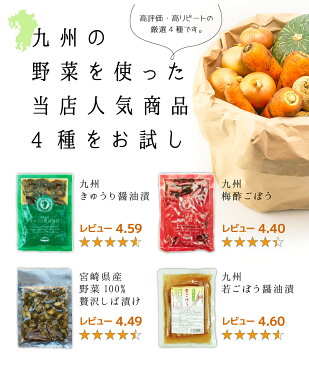 送料無料 国産 漬物 九州お漬物4種お試しセット ゆうパケット(ポスト投函)・代引不可 【出荷 ＜出荷目安：ご注文後1〜2週間＞