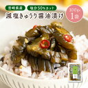  きゅうり醤油漬け 100g×1袋セット 宮崎県産 減塩 漬物 塩分 50％ カット きゅうり 醤油漬け 唐辛子 甘辛 九州 漬物 ごはんのお供 白ご飯 ポイント消化 メール便 常温