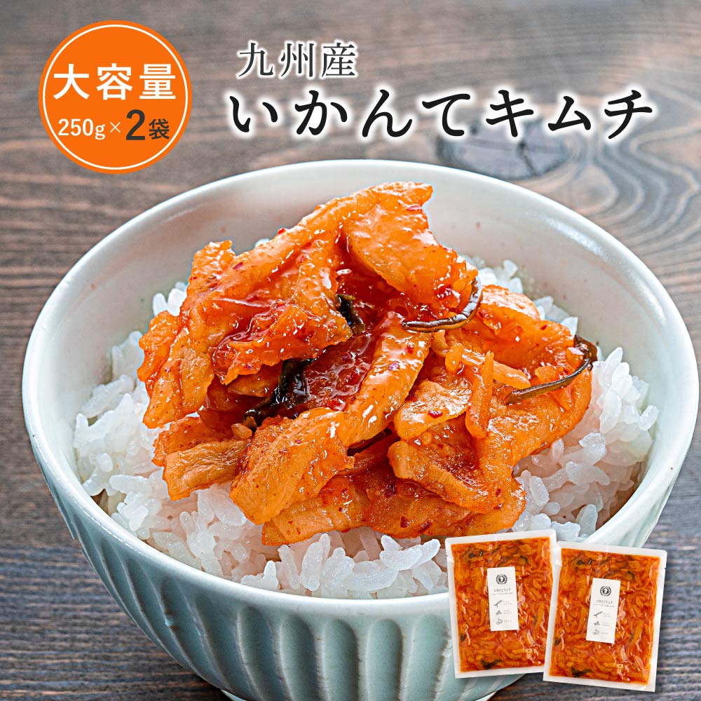 【大容量 SALE】いかんてキムチ 大容量 250g×2袋 送料無料 九州産 キムチ 漬け物 大容量 500g ご飯のお供 割干し 大根 国産 キムチ漬 合成着色料 保存料不使用 唐辛子 ポイント消化 お父さん【出荷目安：ご注文後5日〜7日】新米 ご飯のお供のサムネイル