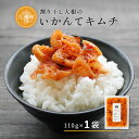 ＼ おためし ／ いかんてキムチ 110g×1袋 九州産 キムチ 漬け物 ご飯のお供 うま辛 辛 割干し 大根 国産 キムチ漬 合成着色料 保存料不使用 珍味 食品 おつまみ 買いまわり ビール 唐辛子 常温 メール便