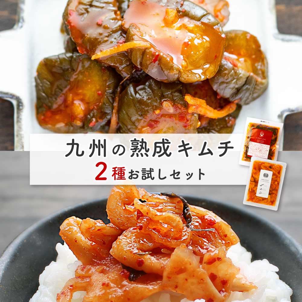 九州熟成キムチ2種 おためしセット【メール便 送料無料】キムチ ご飯のお供 漬け物 国産 きゅうり 漬け物 いかんてキ…