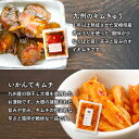 九州熟成キムチ2種 おためしセット【メール便 送料無料】キムチ ご飯のお供 漬け物 国産 きゅうり 漬け物 いかんてキムチ 大根 合成着色料 保存料 無添加【出荷目安：ご注文後5日～7日】