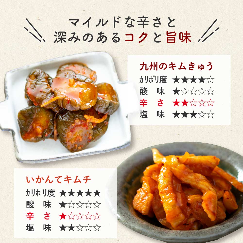 九州熟成キムチ2種 おためしセット【メール便 送料無料】キムチ ご飯のお供 漬け物 国産 きゅうり 漬け物 いかんてキムチ 大根 合成着色料 保存料 無添加【出荷目安：ご注文後5日～7日】 3