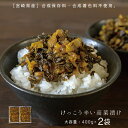 【大容量400g×2袋】九州産 けっこう辛い高菜漬け 合成着色料・保存料不使用 宮崎県産高菜を使用 ゆうパケット対応・代引き不可 （※代引きはゆうパケット対象外） 【出荷目安：1〜2週間程度】