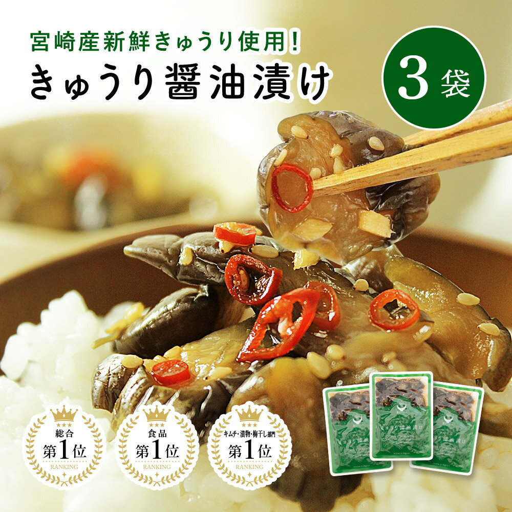 【1000円ポッキリ】漬物 きゅうり醤油漬け 100g×3袋セット 宮崎県産 きゅうり キュウリ 胡瓜 お漬物 ご飯のお供 甘辛 醤油 九州 醤油 【メール便送料無料・代引不可】【出荷目安：ご注文後1〜2週間】のサムネイル