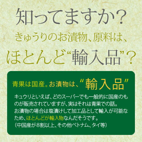 国産 漬物 きゅうり醤油漬け 100g×5袋セット 宮崎県産 ゆうパケット(ポスト投函)・代引不可 ＜出荷目安：ご注文後1〜2週間＞